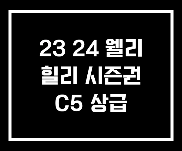 23 24 웰리 힐리 시즌권 C5 상급