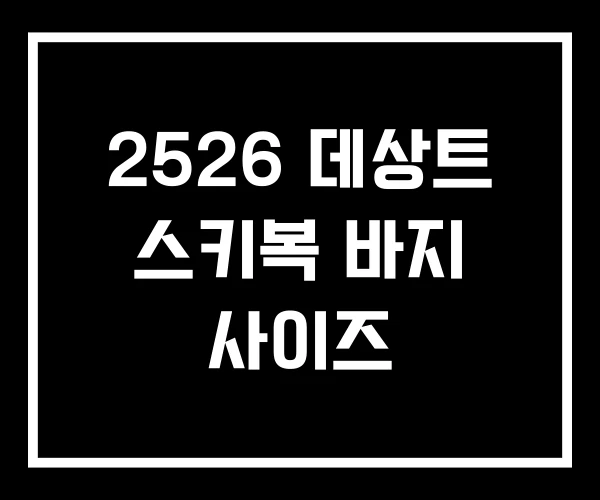 2526 데상트 스키복 바지 사이즈