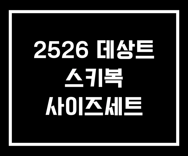 2526 데상트 스키복 사이즈세트