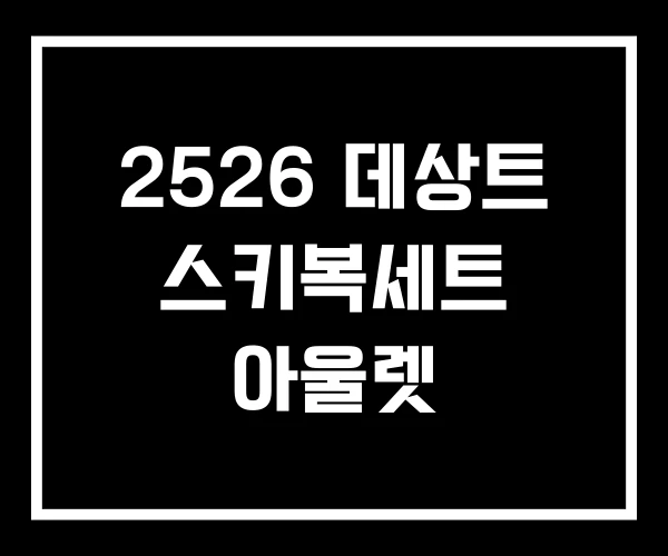 2526 데상트 스키복세트 아울렛