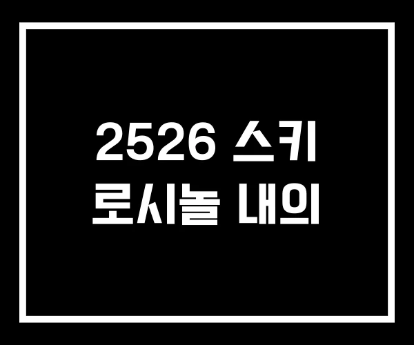 2526 스키 로시놀 내의