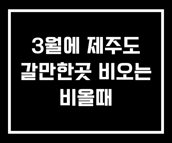 3월에 제주도 갈만한곳 비오는 비올때