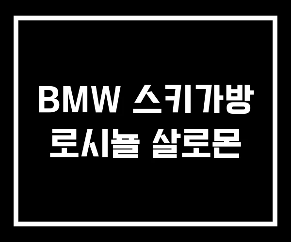 BMW 스키가방 로시뇰 살로몬