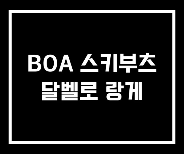 BOA 스키부츠 달벨로 랑게