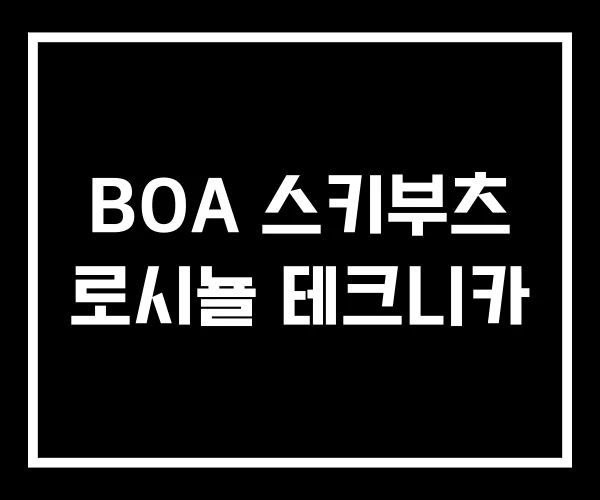 BOA 스키부츠 로시뇰 테크니카