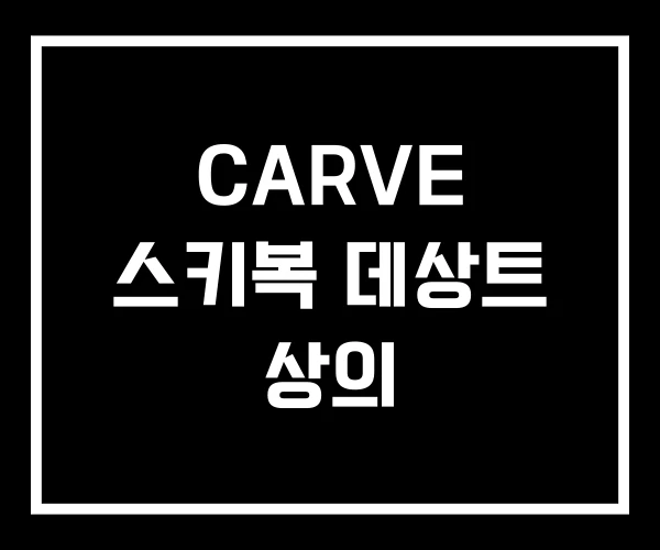 CARVE 스키복 데상트 상의 CARVE 스키복 데상트 상의