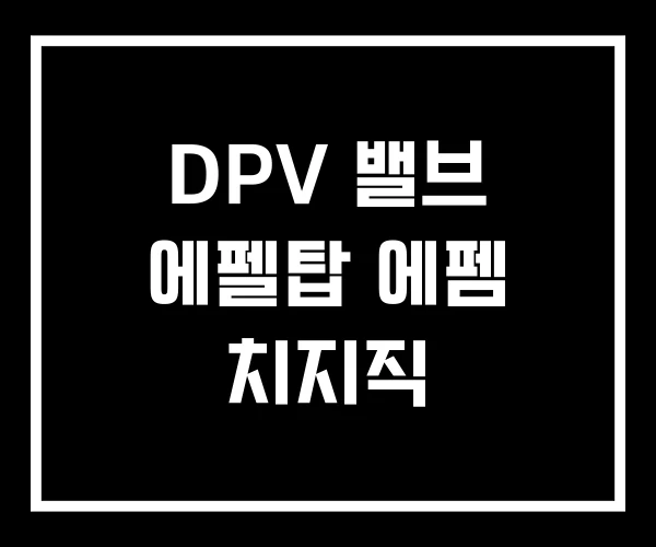 DPV 밸브 에펠탑 에펨 치지직