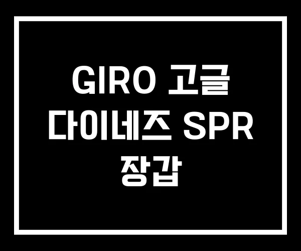 GIRO 고글 다이네즈 SPR 장갑 GIRO 고글 다이네즈 SPR 장갑
