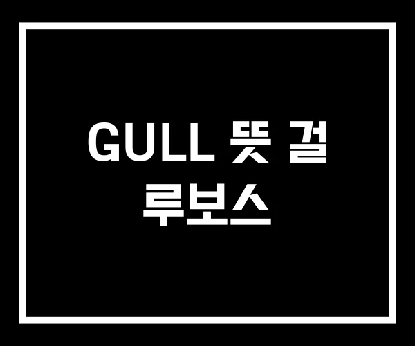 GULL 뜻 걸 루보스