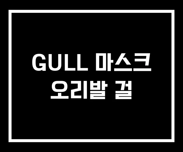 GULL 마스크 오리발 걸 GULL 마스크 오리발 걸