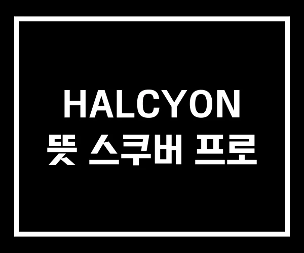 HALCYON 뜻 스쿠버 프로