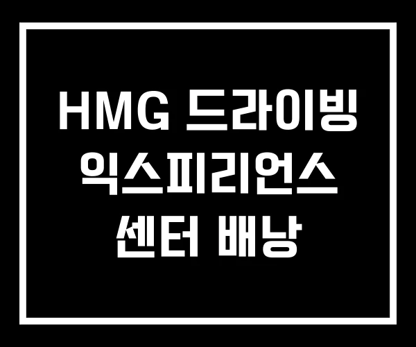 HMG 드라이빙 익스피리언스 센터 배낭