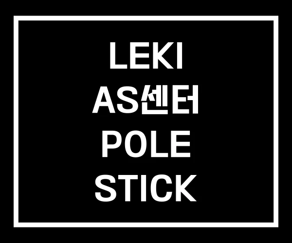 LEKI AS센터 POLE STICK