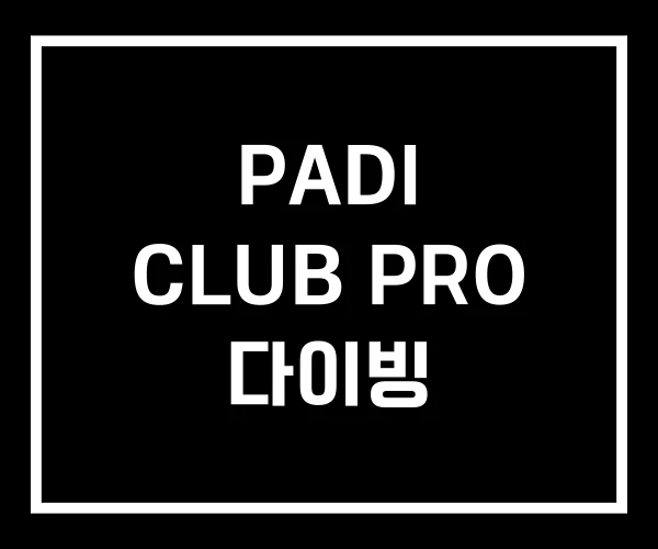 PADI CLUB PRO 다이빙 PADI CLUB PRO 다이빙