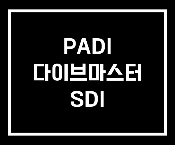 PADI 다이브마스터 SDI