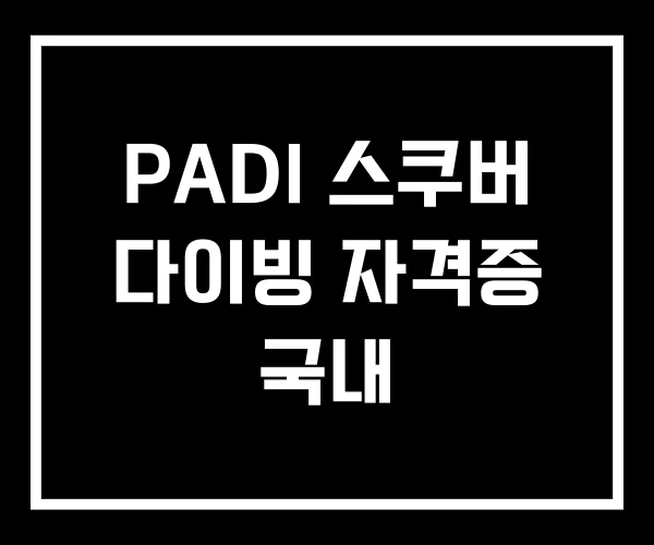 PADI 스쿠버 다이빙 자격증 국내 PADI 스쿠버 다이빙 자격증 국내