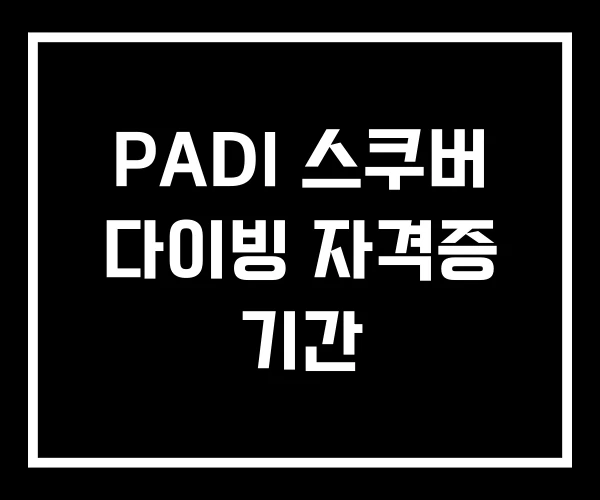 PADI 스쿠버 다이빙 자격증 기간 PADI 스쿠버 다이빙 자격증 기간