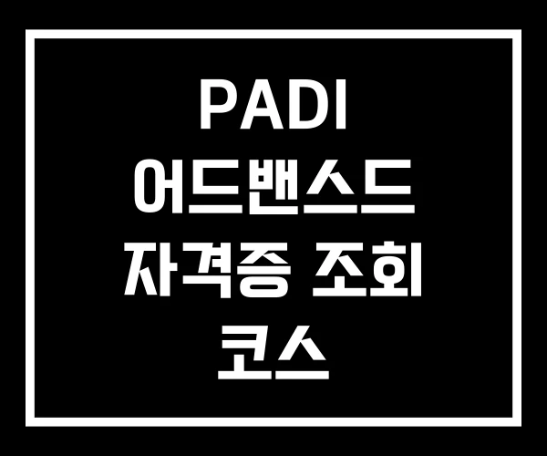 PADI 어드밴스드 자격증 조회 코스