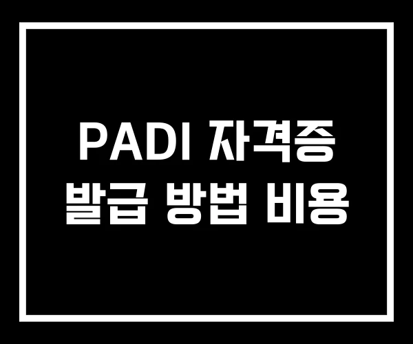 PADI 자격증 발급 방법 비용