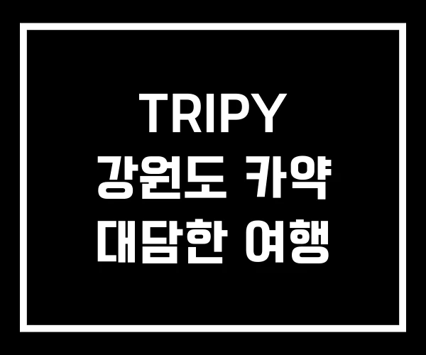 TRIPY 강원도 카약 대담한 여행