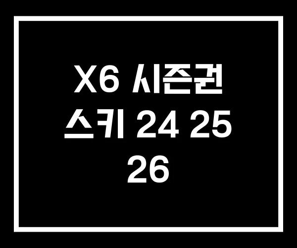 X6 시즌권 스키 24 25 26 X6 시즌권 스키 24 25 26