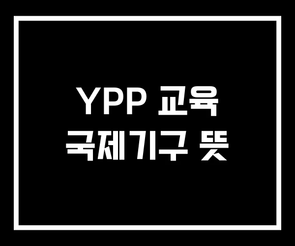 YPP 교육 국제기구 뜻