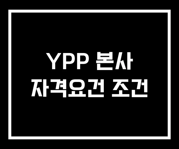 YPP 본사 자격요건 조건 YPP 본사 자격요건 조건