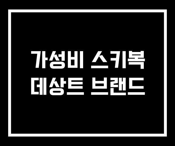가성비 스키복 데상트 브랜드