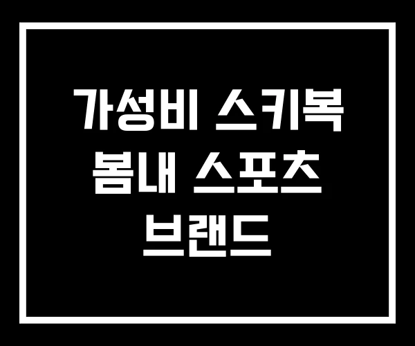 가성비 스키복 봄내 스포츠 브랜드 가성비 스키복 봄내 스포츠 브랜드