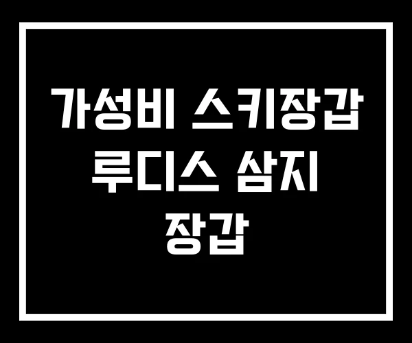 가성비 스키장갑 루디스 삼지 장갑