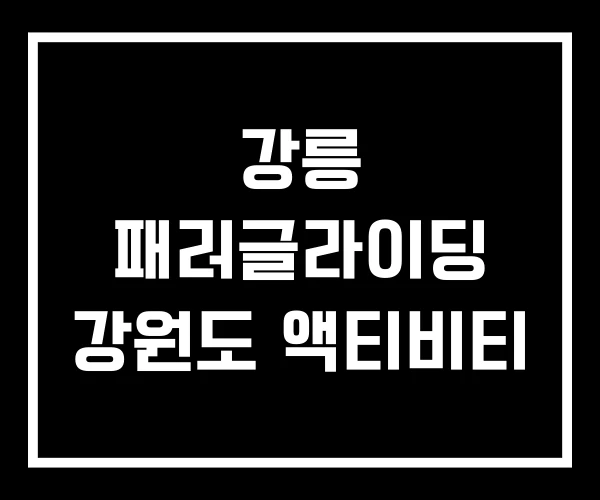 강릉 패러글라이딩 강원도 액티비티