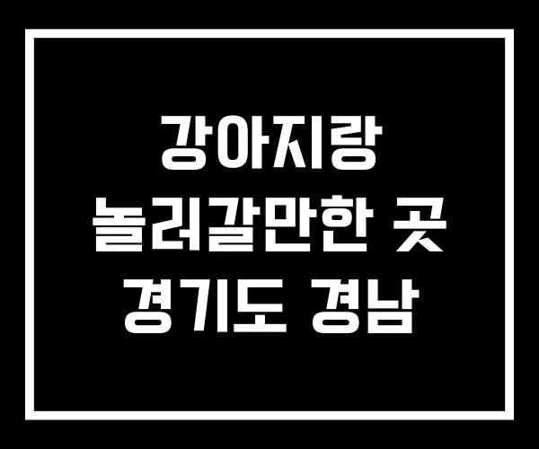 강아지랑 놀러갈만한 곳 경기도 경남