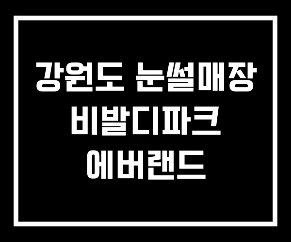 강원도 눈썰매장 비발디파크 에버랜드