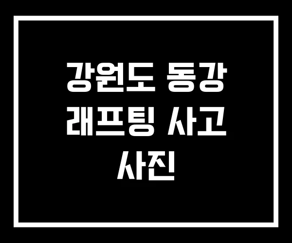 강원도 동강 래프팅 사고 사진