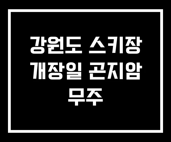 강원도 스키장 개장일 곤지암 무주 강원도 스키장 개장일 곤지암 무주