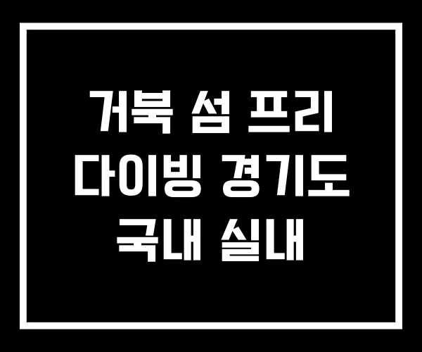 거북 섬 프리 다이빙 경기도 국내 실내