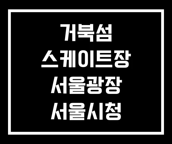 거북섬 스케이트장 서울광장 서울시청