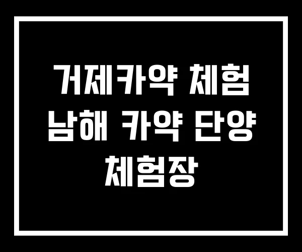 거제카약 체험 남해 카약 단양 체험장