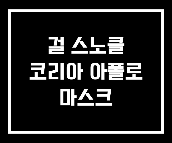 걸 스노클 코리아 아폴로 마스크