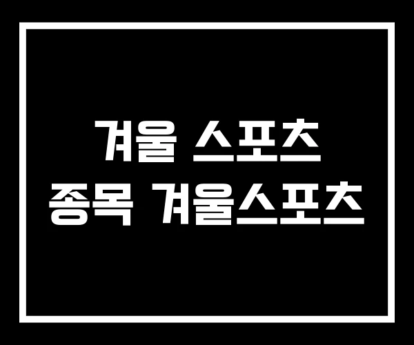 겨울 스포츠 종목 겨울스포츠