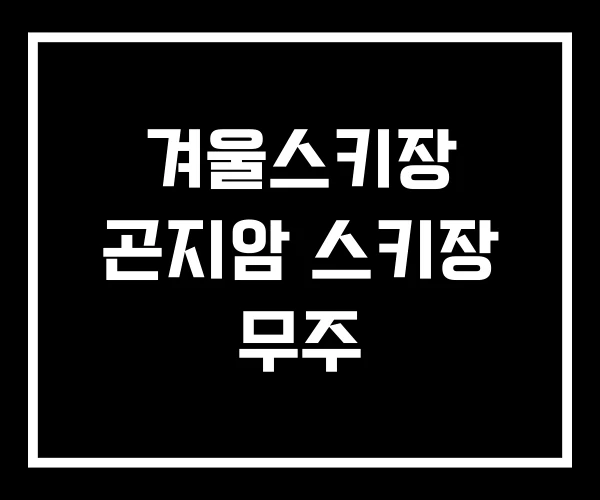 겨울스키장 곤지암 스키장 무주