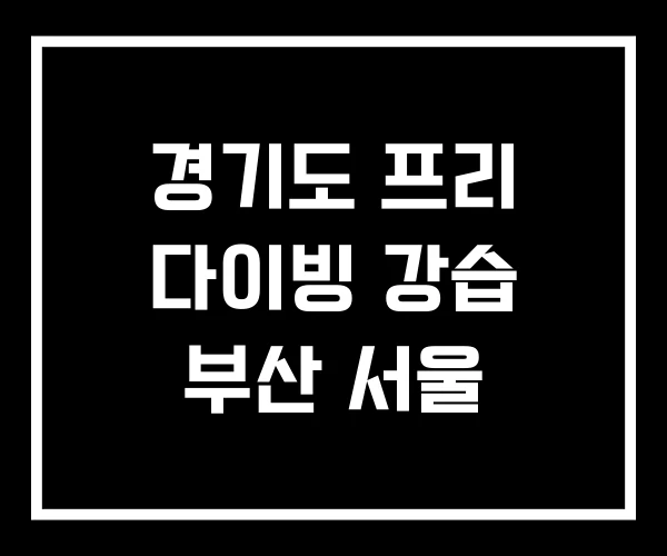경기도 프리 다이빙 강습 부산 서울