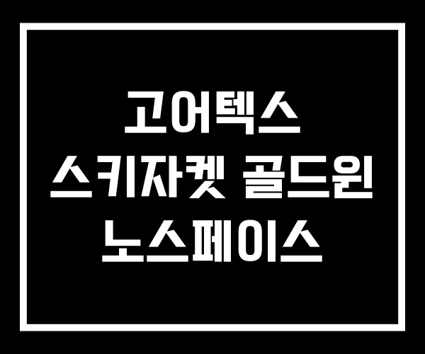 고어텍스 스키자켓 골드윈 노스페이스 고어텍스 스키자켓 골드윈 노스페이스