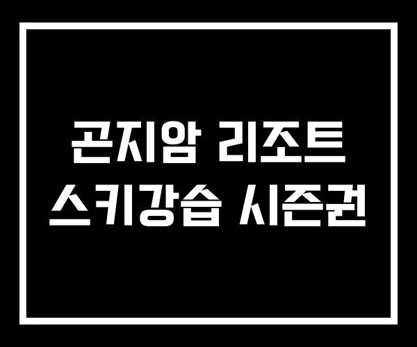곤지암 리조트 스키강습 시즌권
