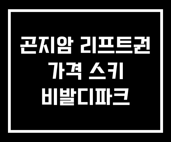 곤지암 리프트권 가격 스키 비발디파크