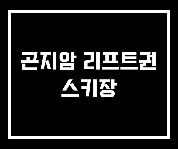 곤지암 리프트권 스키장