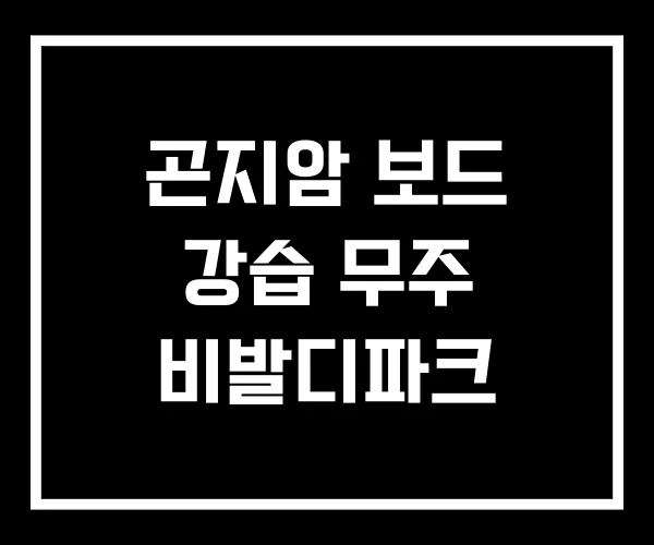 곤지암 보드 강습 무주 비발디파크