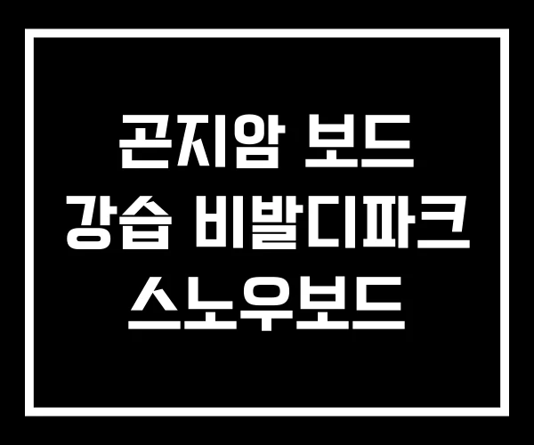 곤지암 보드 강습 비발디파크 스노우보드