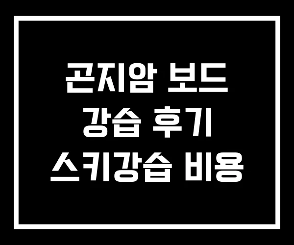 곤지암 보드 강습 후기 스키강습 비용 곤지암 보드 강습 후기 스키강습 비용
