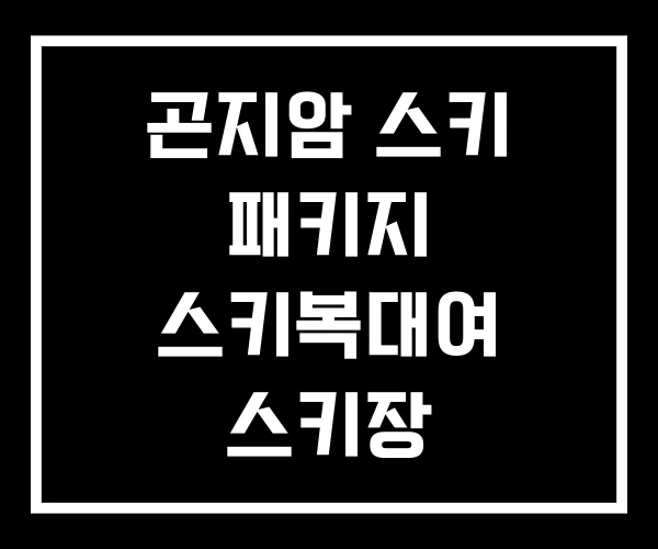 곤지암 스키 패키지 스키복대여 스키장